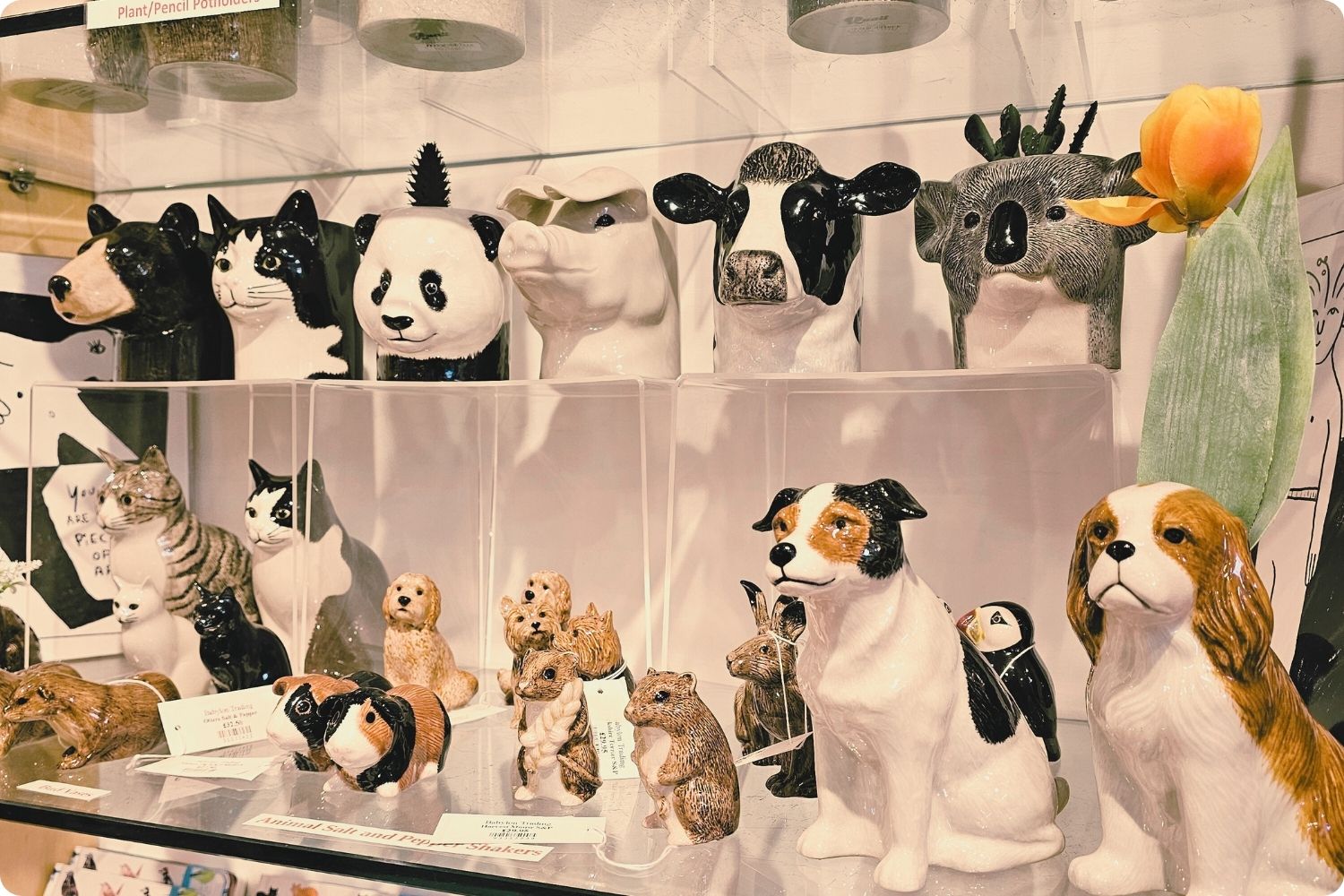 Colourful ceramic animal figurines displayed at Babylon Trading in Oxford, featuring intricate designs and vibrant hues, adding a touch of whimsy to the collection.