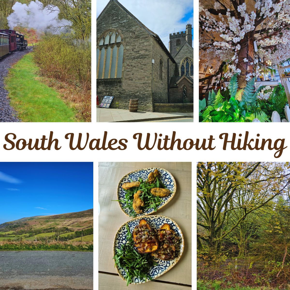 Collage showing the Brecon Mountain Railway steam train, a street scene in Brecon, scenic hills viewed from a bus, a cozy meal, the interior of Casa Bianca restaurant with cherry blossom décor, and a peaceful forest.