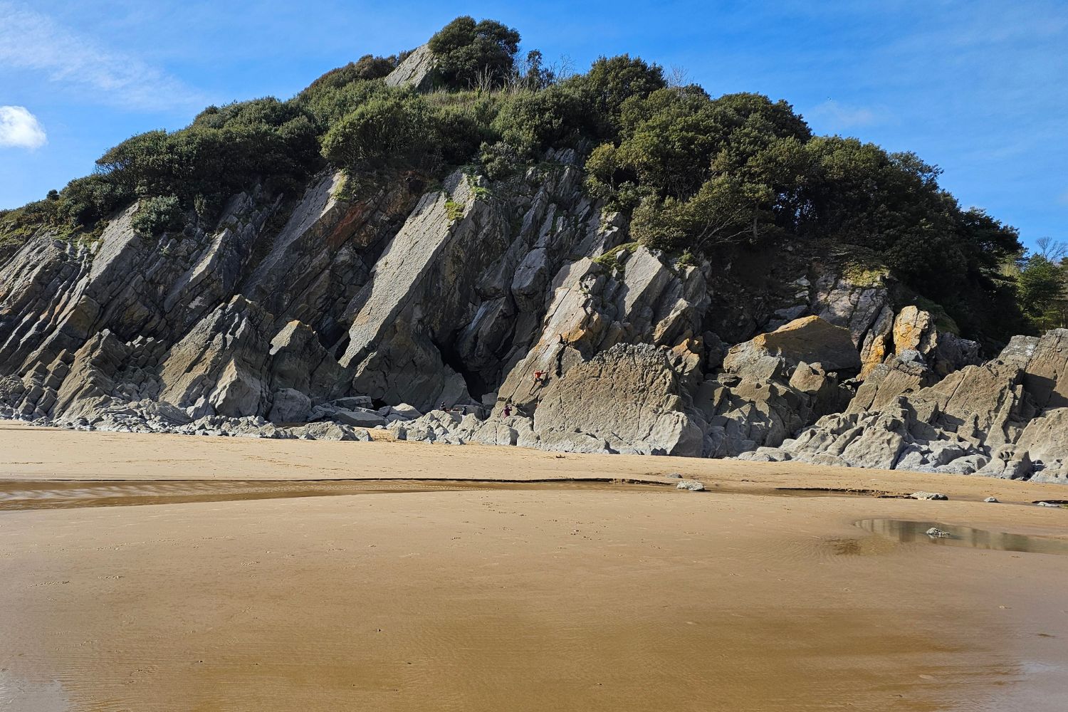 A wide view of the sandy shore at Caswell Bay, featuring high, jagged grey cliffs topped with thick green trees. Small sea caves are visible at the base of the rock formations, and a shallow rivulet of water flows across the golden sand in the foreground under a clear blue sky.