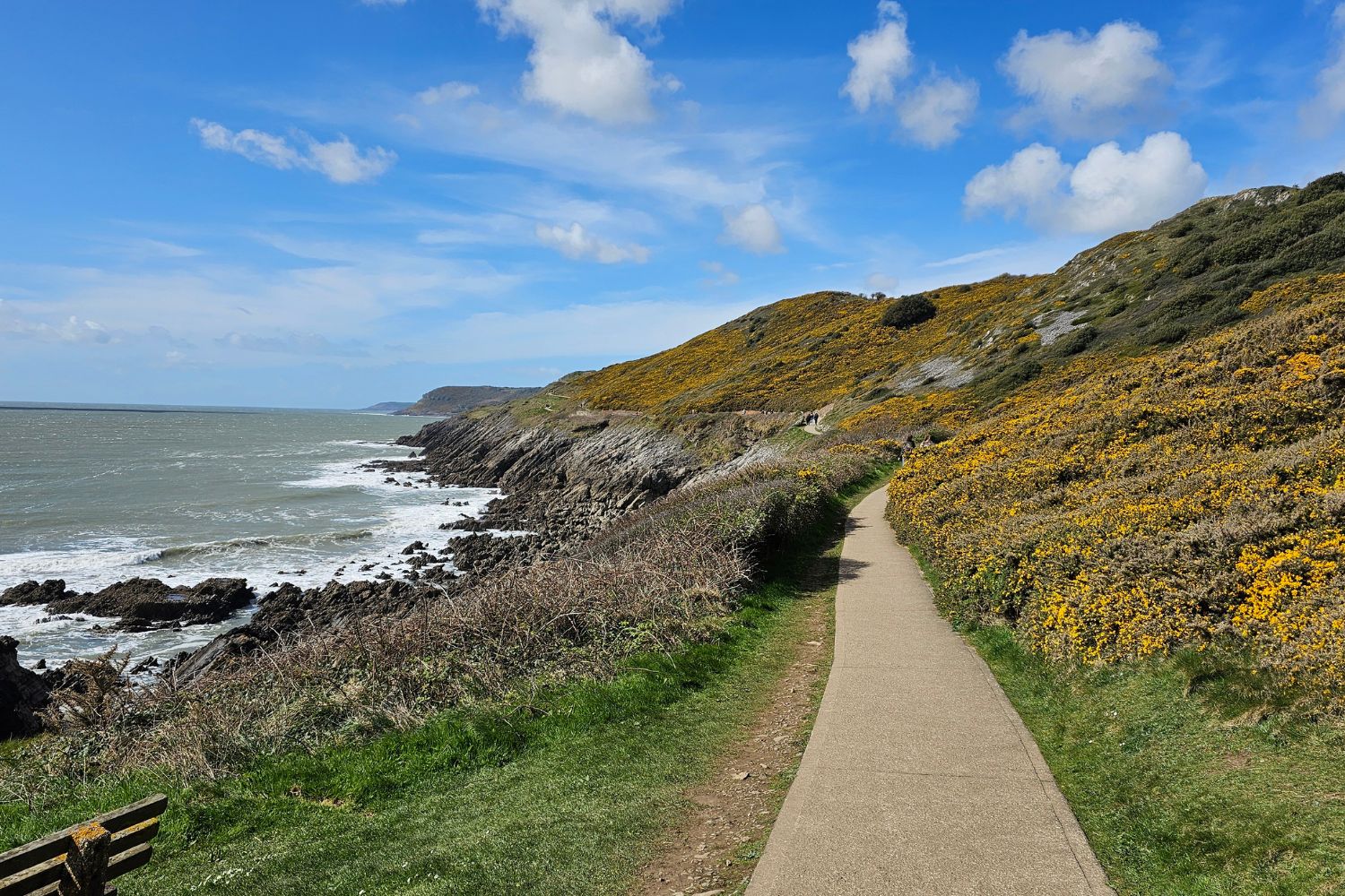 A well-paved section of the Gower Coastal Path winding along the cliffside toward Langland Bay. The path is flanked by bright yellow gorse-covered hills on the right and a rocky coastline with crashing waves on the left under a blue sky.