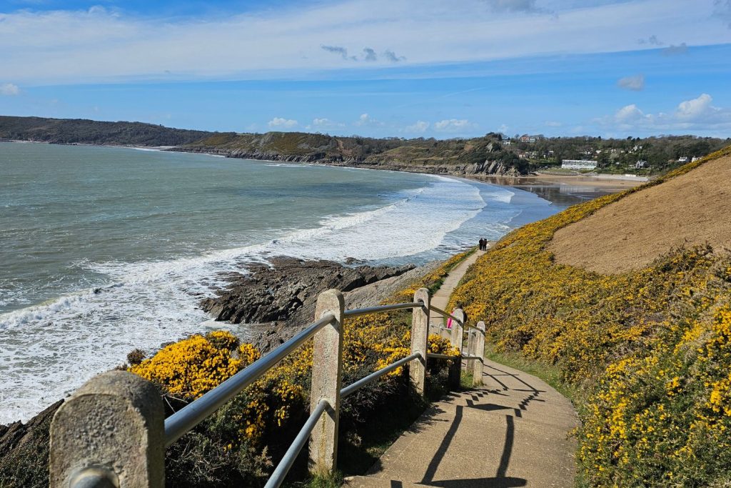 A close-up view looking down a concrete and stone staircase that descends a steep, gorse-covered hillside on the Gower Coastal Path. Two sturdy grey concrete posts and a metal handrail flank the steps, which have rough texture for grip. Below, the narrow path winds toward the wide, sandy bay and the village in the distance under a bright, partly cloudy sky.