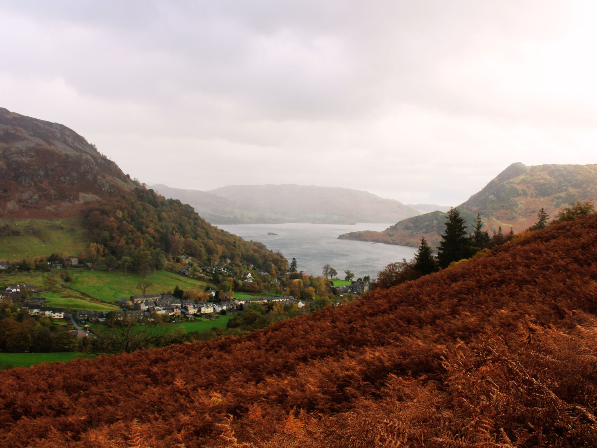 A high-angle landscape view taken from a hiking trail above Glenridding. A foreground slope of dense, copper-colored autumn ferns leads the eye down to the village and the long, blue expanse of Ullswater lake, which is cradled by steep, green and rocky fells under a soft, cloudy sky.