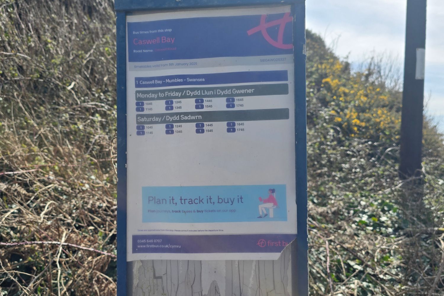 A close-up of a blue and white bus timetable at a stop in Caswell Bay. The sign shows the "1 Caswell Bay - Mumbles - Swansea" route schedule for Monday to Friday and Saturdays. The background shows dry coastal brush and yellow gorse.