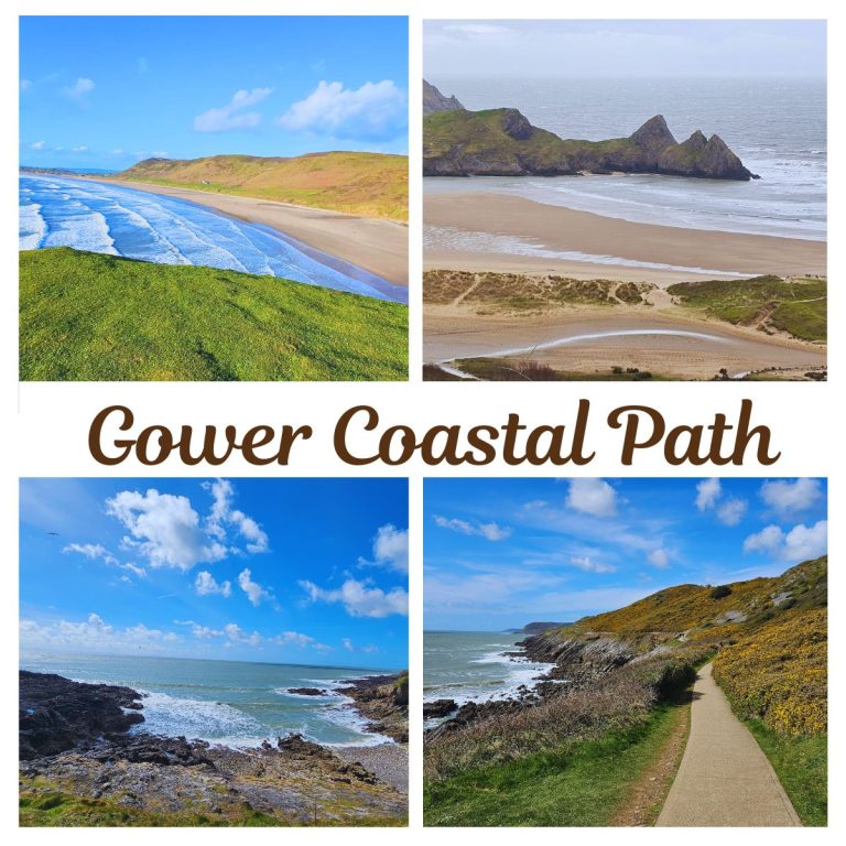 A four-image collage titled "Gower Coastal Path" showcasing the diverse beauty of the South Wales coastline. Clockwise from top-left: The vast sandy sweep of Rhossili Bay under blue skies; the dramatic limestone peaks of Three Cliffs Bay on a misty day; a winding coastal trail lined with yellow gorse; and a rugged, rocky shoreline meeting the turquoise Atlantic Ocean.